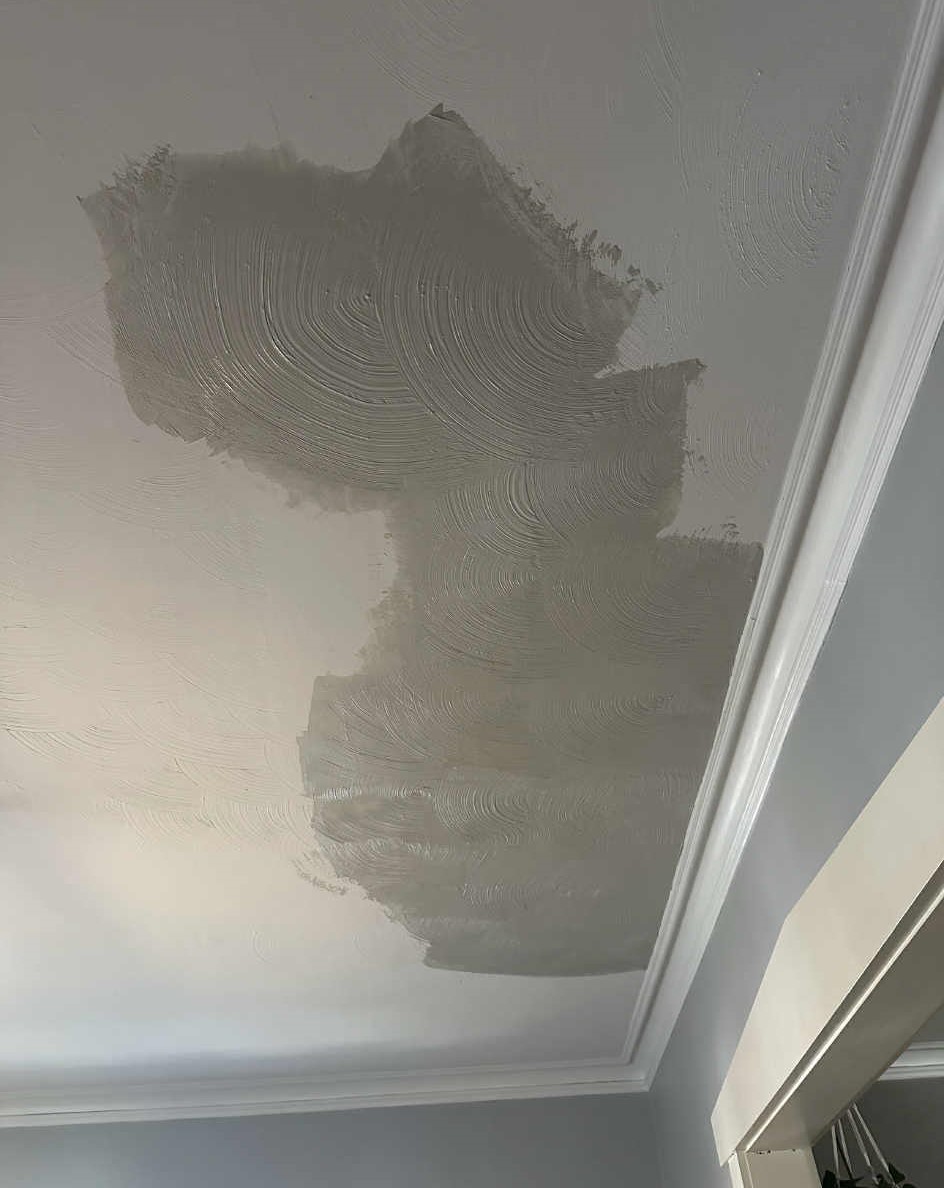 After Professional Finish